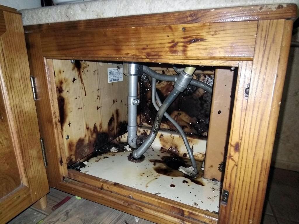 Water staining on cabinet floor before repair